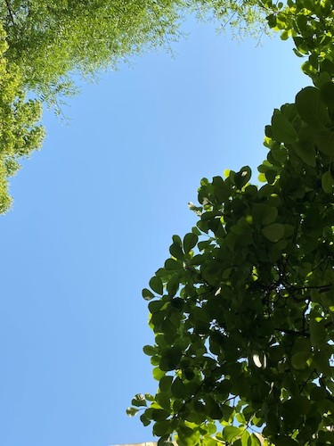 梅娇寅拍摄